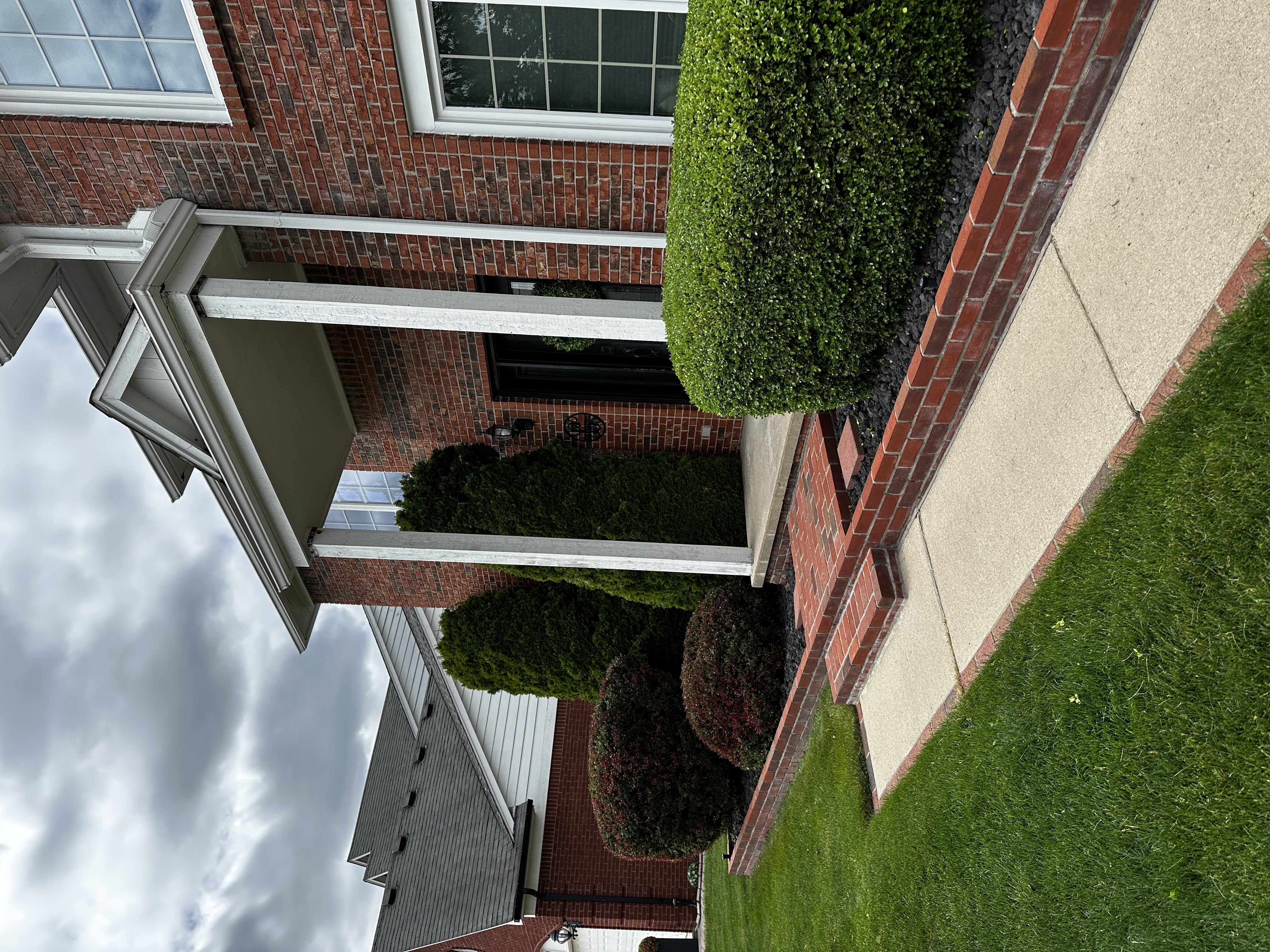 Shrub trimming and shaping