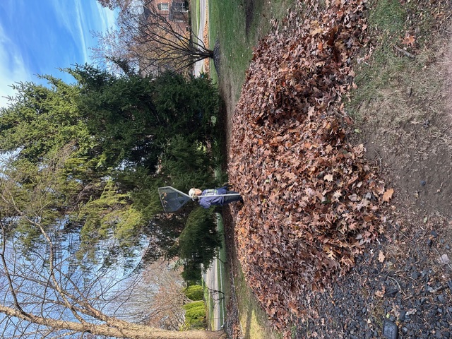 Fall cleanup with leaf pile
