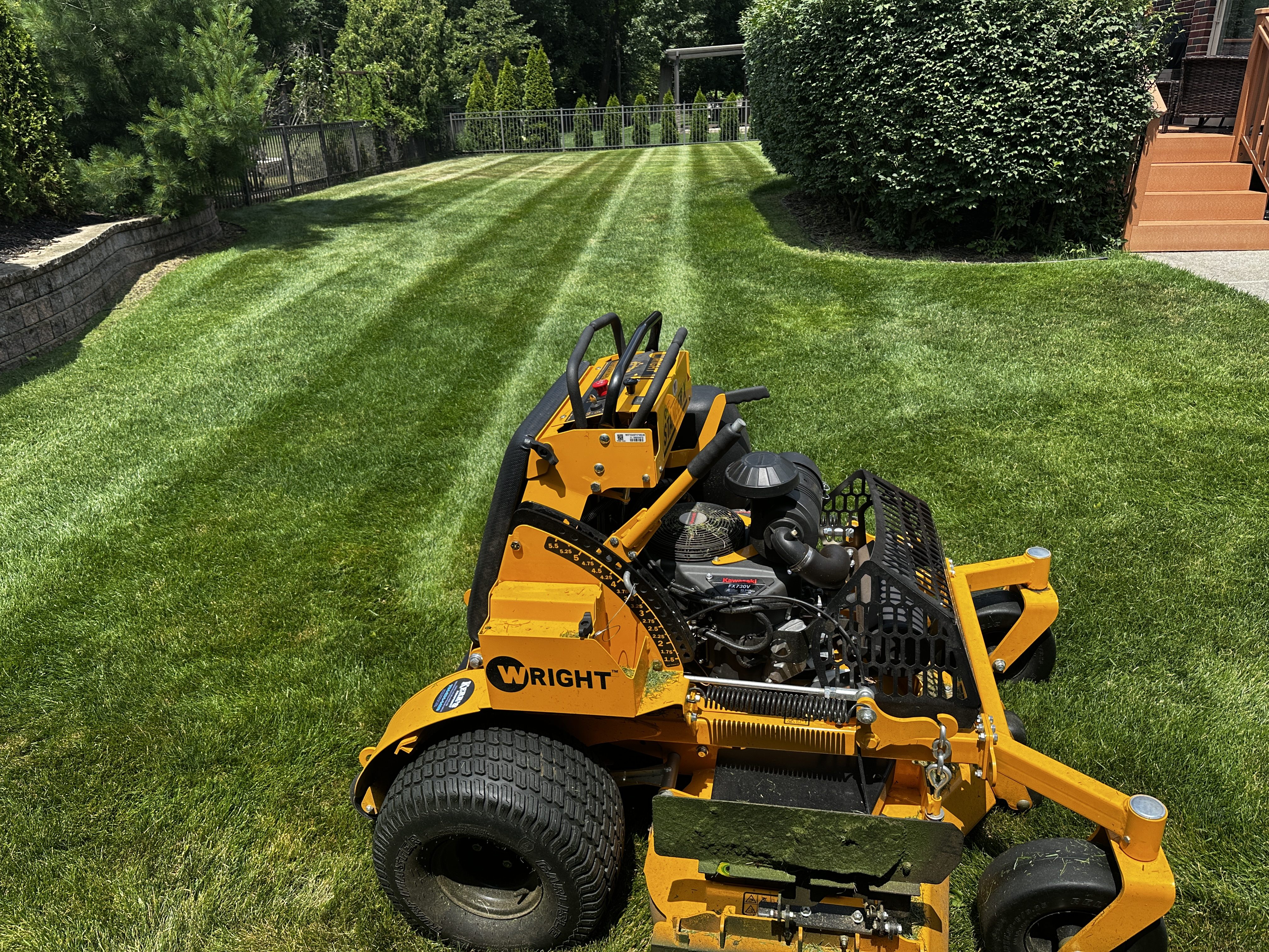 Lawn mower with freshly mowed lawn in back